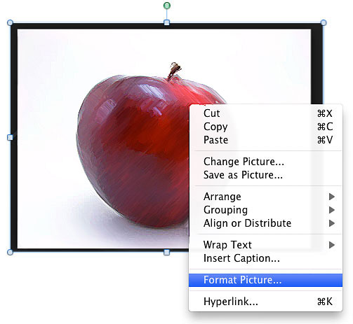 Image demonstrates the location of Format Picture